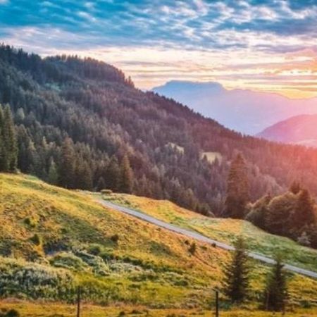 Almhuette Andrea Villa Wildschoenau Dış mekan fotoğraf